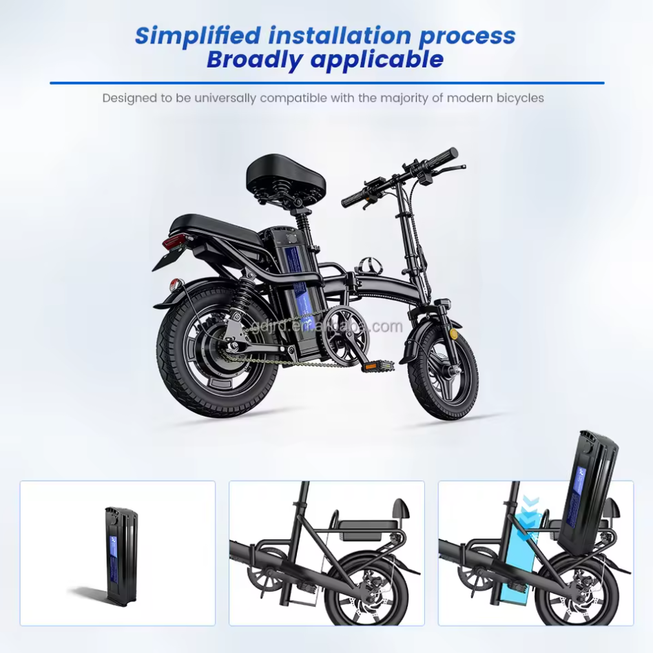 Custom High-Capacity Silverfish-Style 48V 20Ah/35Ah Electric Bicycle Lithium Battery