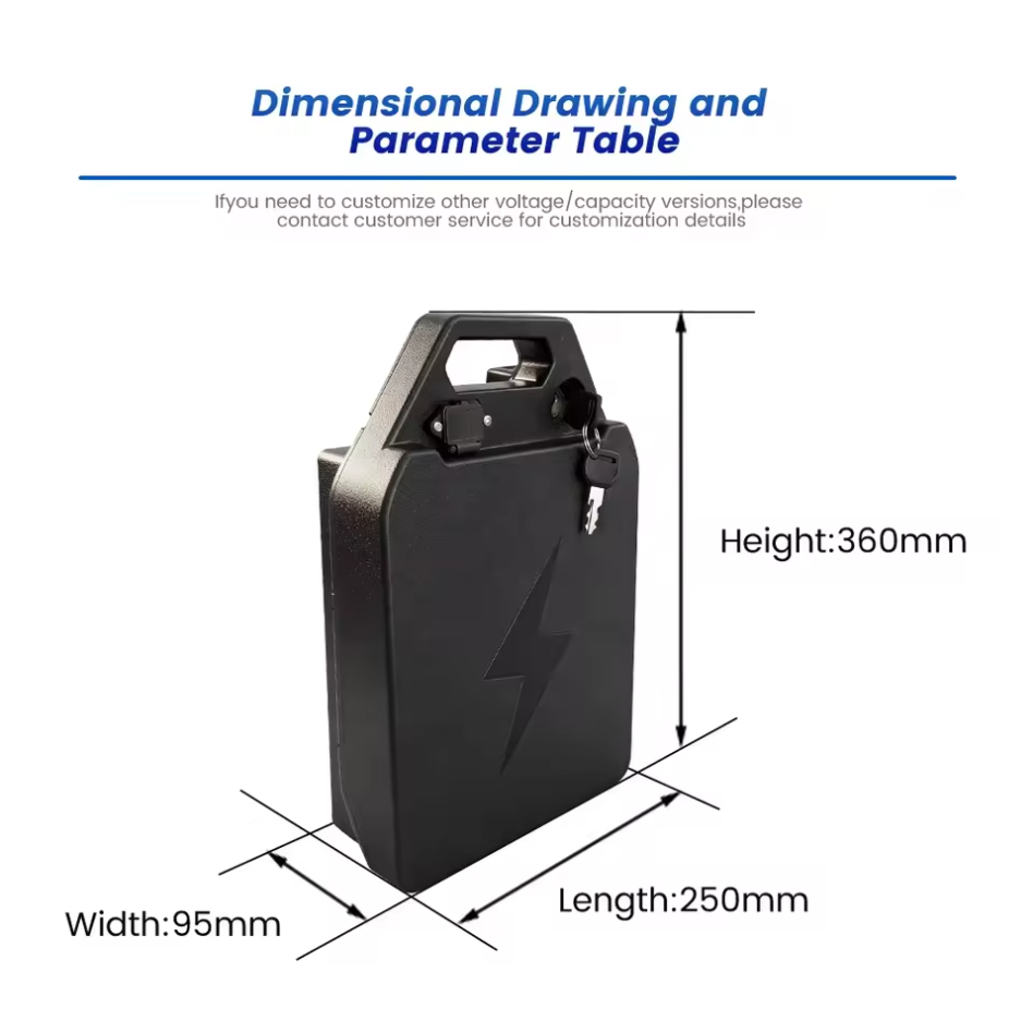 Custom 48V Harley-style plastic-cased electric bicycle lithium battery